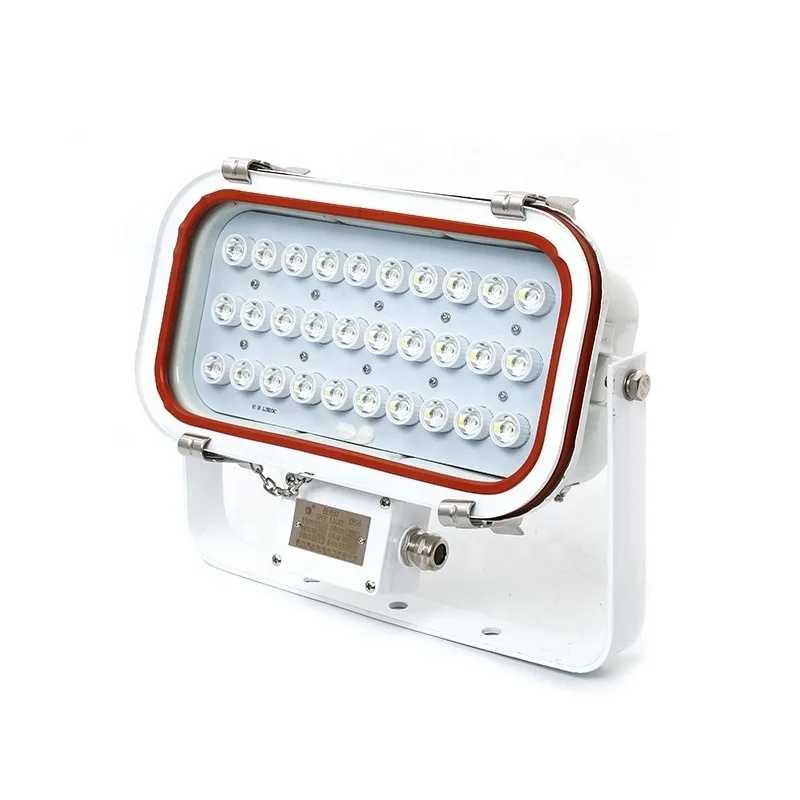 TG20 30Watt CE Certificate Stainless Steel Outdoor IP67 Marine Led Flood Light