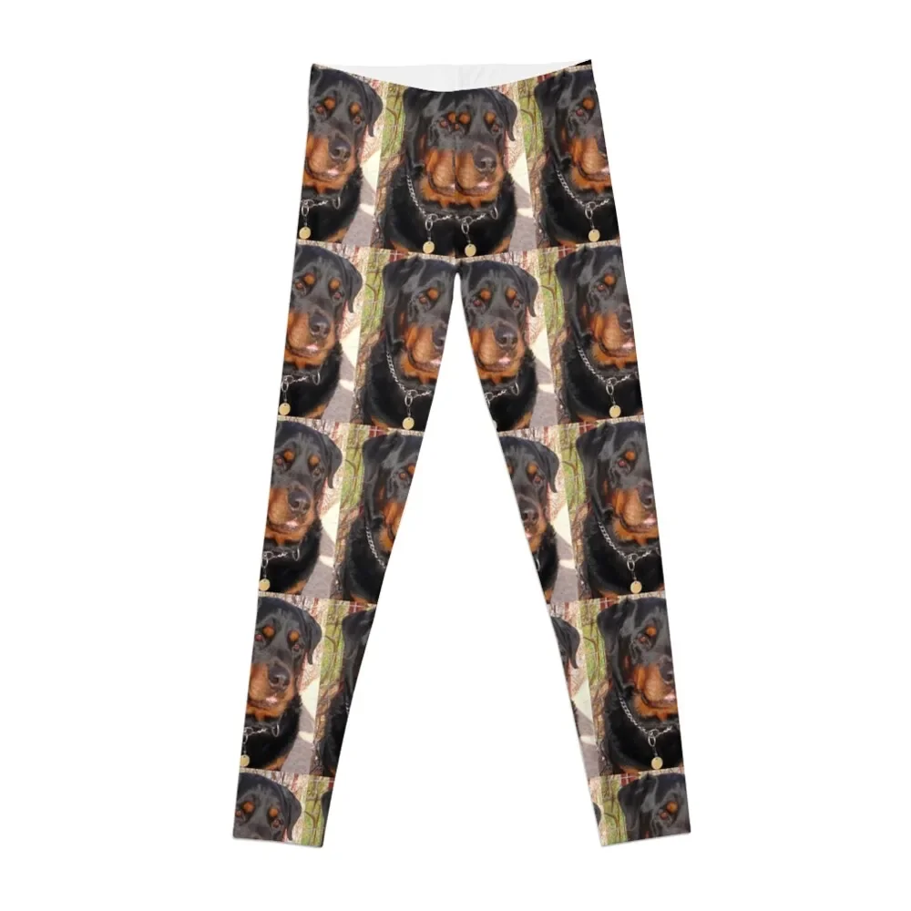 

Mature Male Rottweiler Photo Portrait Leggings sports shirts gym for fitness Womens Leggings