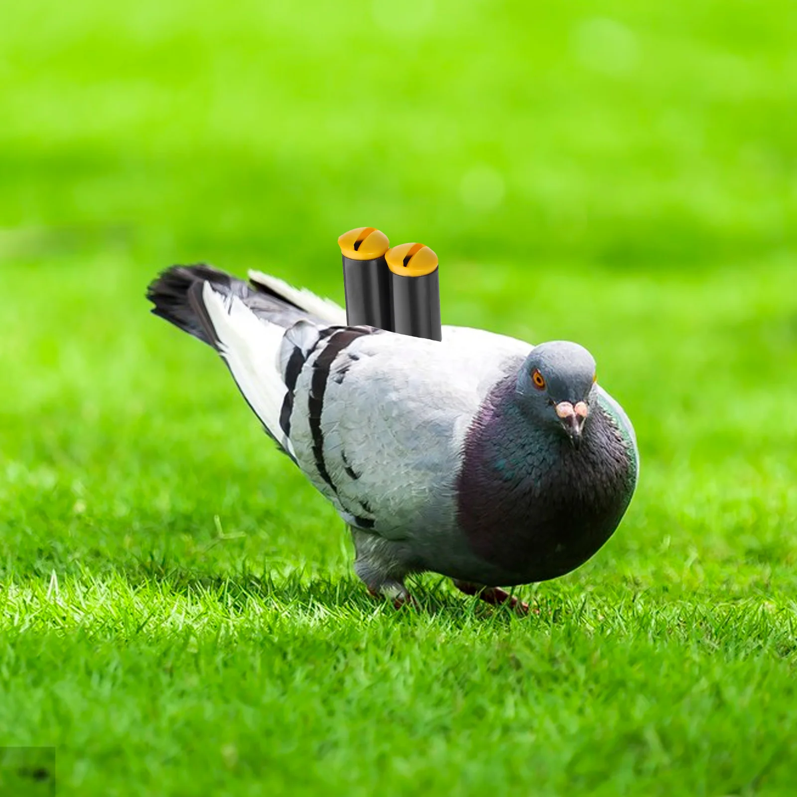 

Flight Pigeon Whistle Plastic Tail Birdcage Accessory Lightweight Loud Outdoor Training Camping Emergency Pet