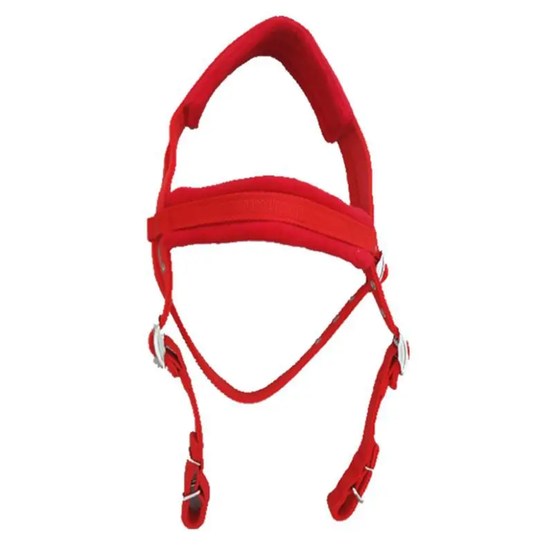 PP Horse Halter, Blue and Red Equestrian Tack, PP Webbing Reins, Adjustable Bridle, Durable Horse Gear