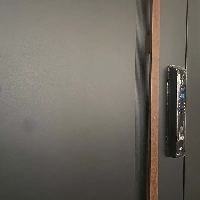 New Design Cast Aluminum House Door Modern Security Single Entrance Door with Smart