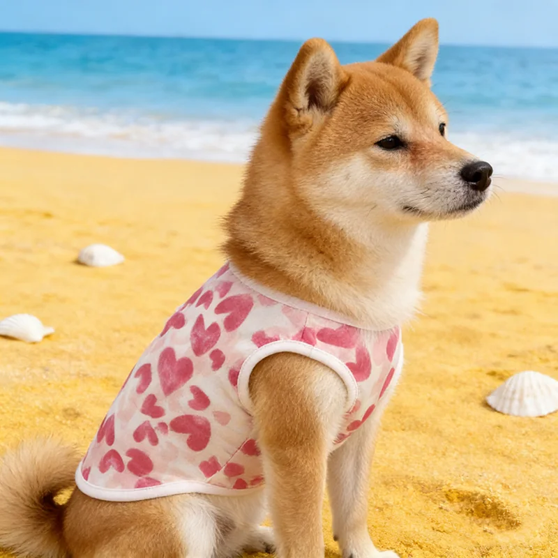 เสื้อผ้าสุนัข เสื้อกั๊กสุนัขบา - Summer Clothing In French บทวิจารณ์และราคา
