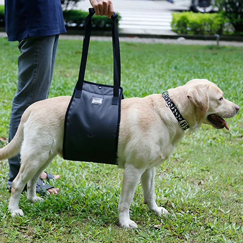 Portable Dog Sling For Back Legs Hip Support Harness to Help Lift Dogs Rear For Canine Aid and Old Dog Ligament Rehabilitation