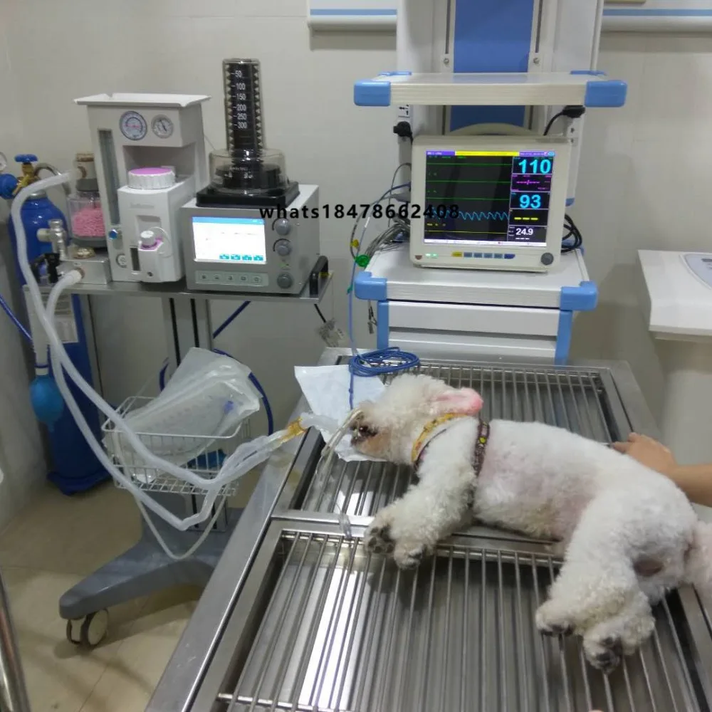 Light Portable Veterinary  Machine Clinic Use of Machine for Animal Medical Supplies Equipment