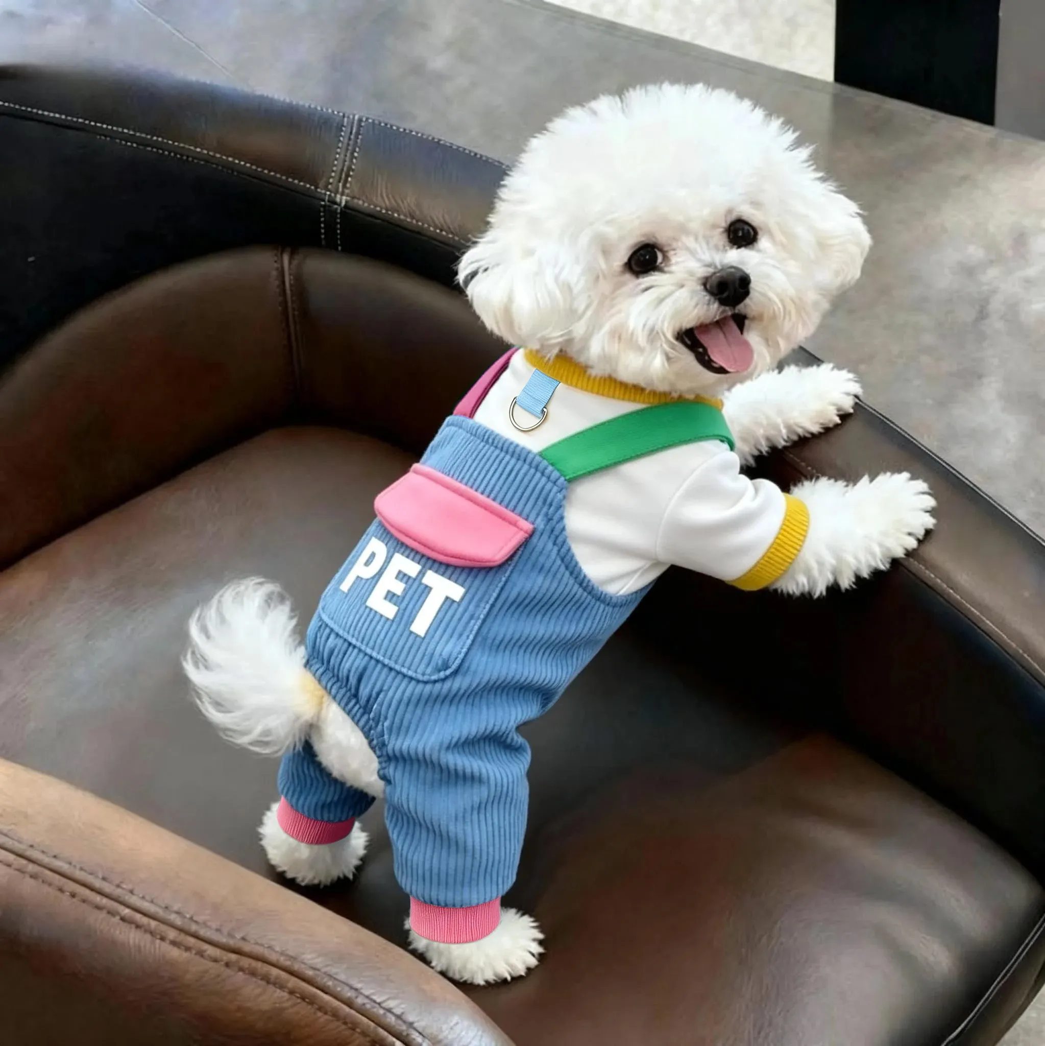 Winter Dog Bib Pants Jumpsuit, Leash Accessible 4-Leg Outfit for Teddy Bichon Schnauzer Small Dogs