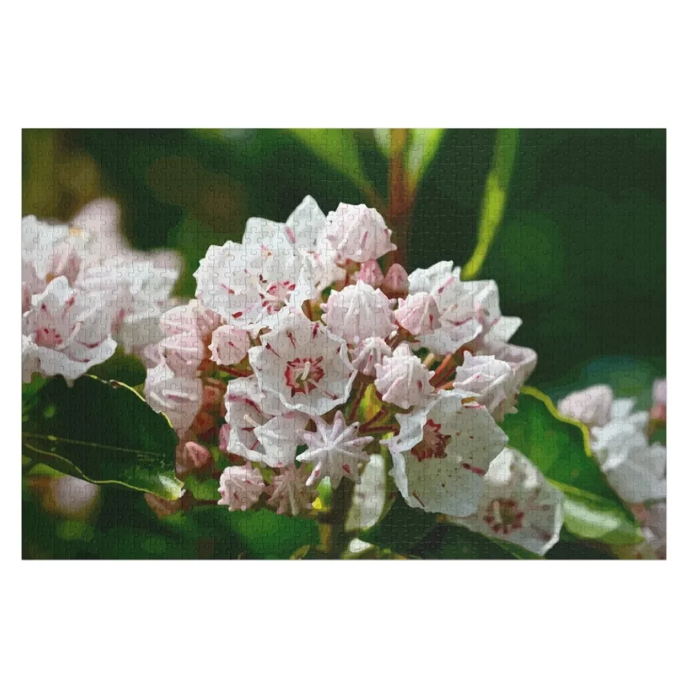 Mountain Laurel Native Wildflower Jigsaw Puzzle Game Children Christmas Toys Puzzle