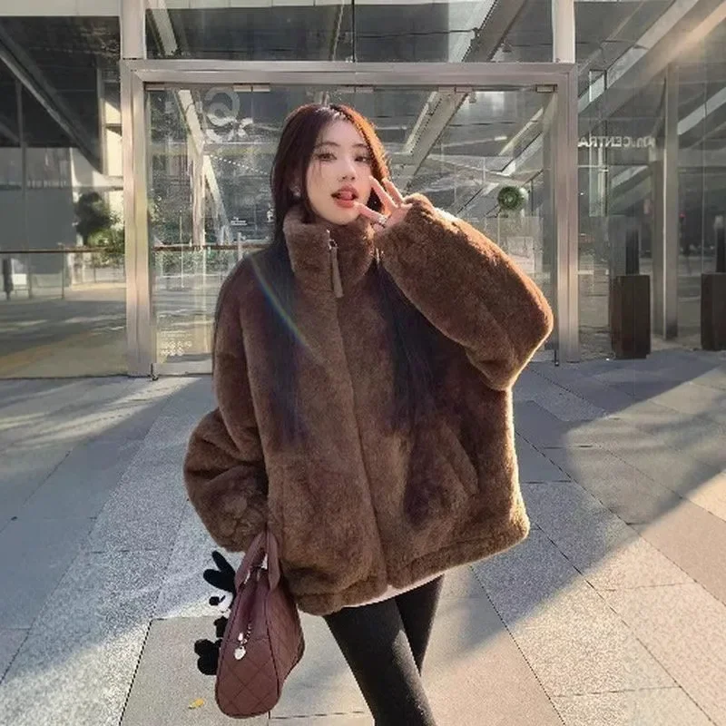 Ztluštěná jehněčí kožešinová bunda pro ženy, volný střih, stojáček, podzimní zimní pouliční styl, malá bomberová bunda, plyšové svrchní oblečení - náhled 4