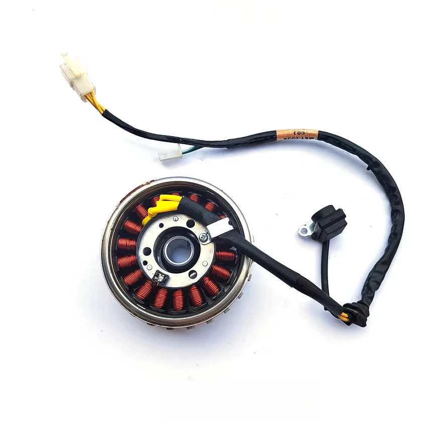 

Magneto Stator Coil For Peugeot SF3 SF4 QP150T-C QP150T-2 QP150T-3 QP150T-D QP150T-G 2002380600 2002440700