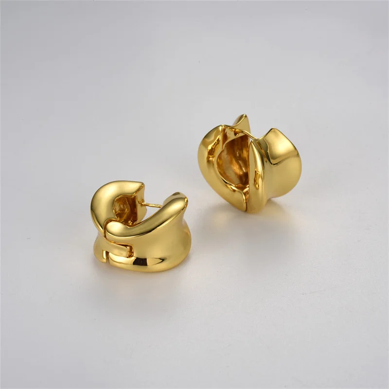 Fashion Metal Irregular Geometric Wide Face Earrings for Women Niche Simple Light Luxury OL Daily All-match Accessories