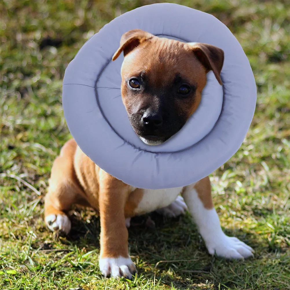 

Soft Elizabethan Collar for Dogs Waterproof Adjustable Recovery Postsurgery Prevent Licking Comfortable Size Xxl