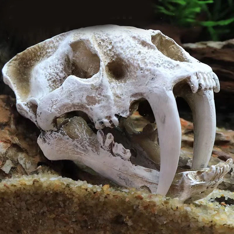 Resin Dinosaur Skull Artificial Ornament Fish Tank Aquarium Decorations Cave Landscape Pet Reptile House Aquarium Home Decor