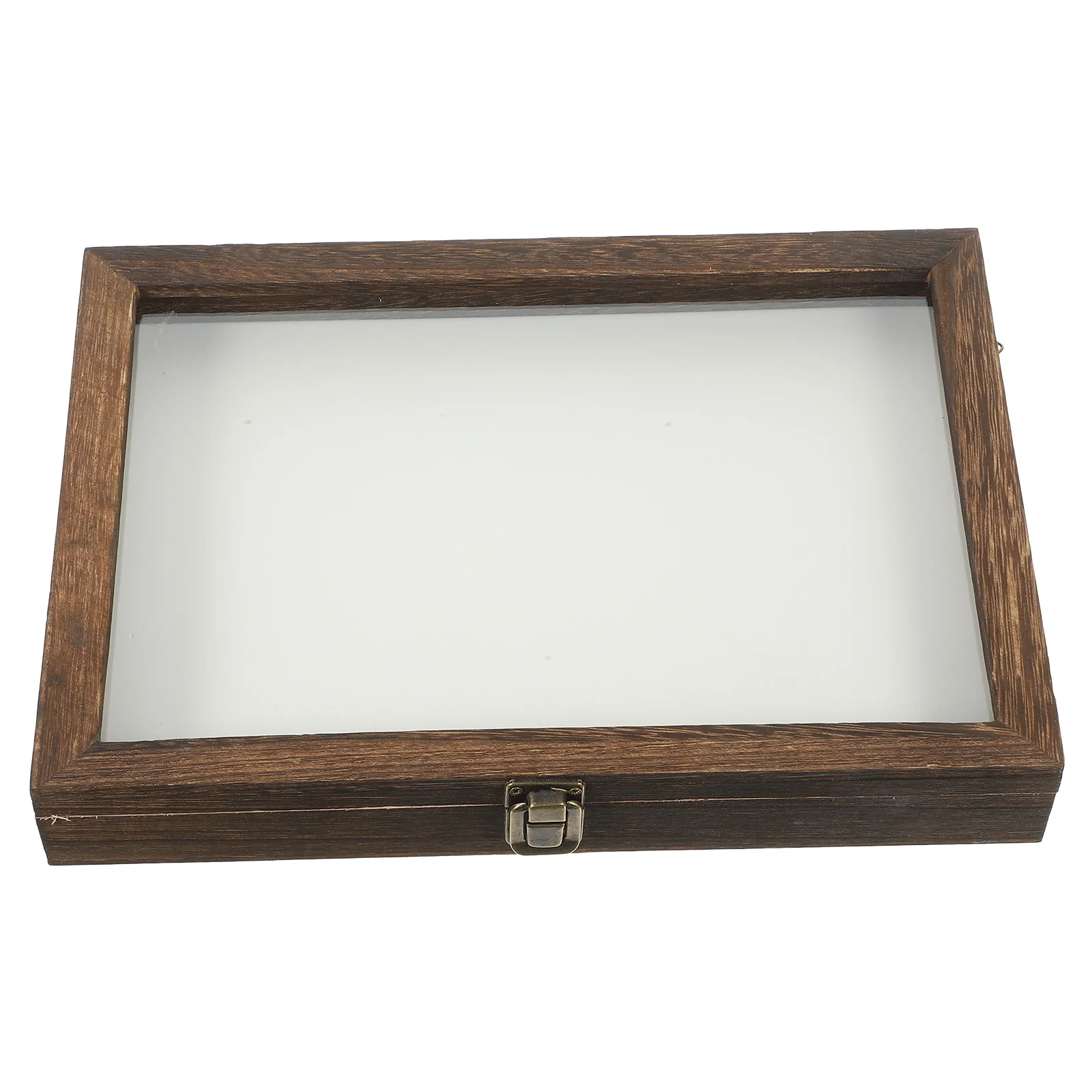 Insekten-Display-Box, Holz, Schmetterlinge, Probenrahmen, Acrylbehälter