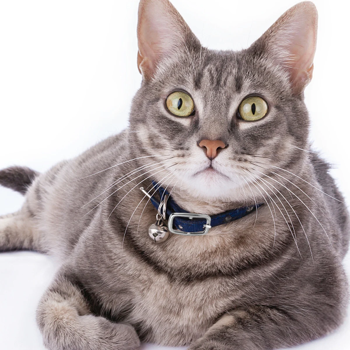 

50pcs Zinc Alloy Shoe Buckle Metal Roller Buckle For Belt Bag Pet Collar Handbag Webbing Strap Diy Accessories Silver