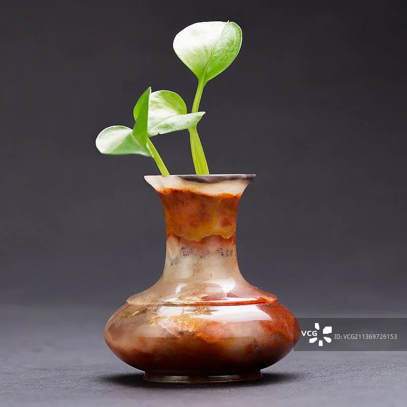 

Приемник Skydroid R12 RX/SG12-RX Приемник дистанционного управления T12 для радиопередатчика T12 Защита растений Аксессуары для дронов RC