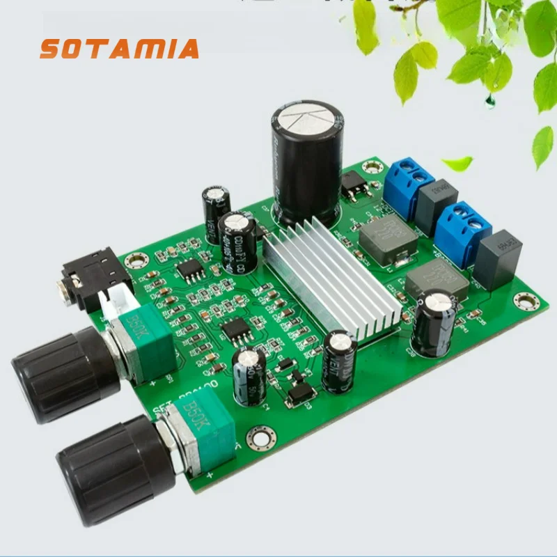 SOTAMIA - Placa Amplificadora de Subwoofer de 100 W, TPA3116 Mono, Amplificador de Potencia Digital, Ajuste de Frecuencia del Subwoofer, DC12-24 V