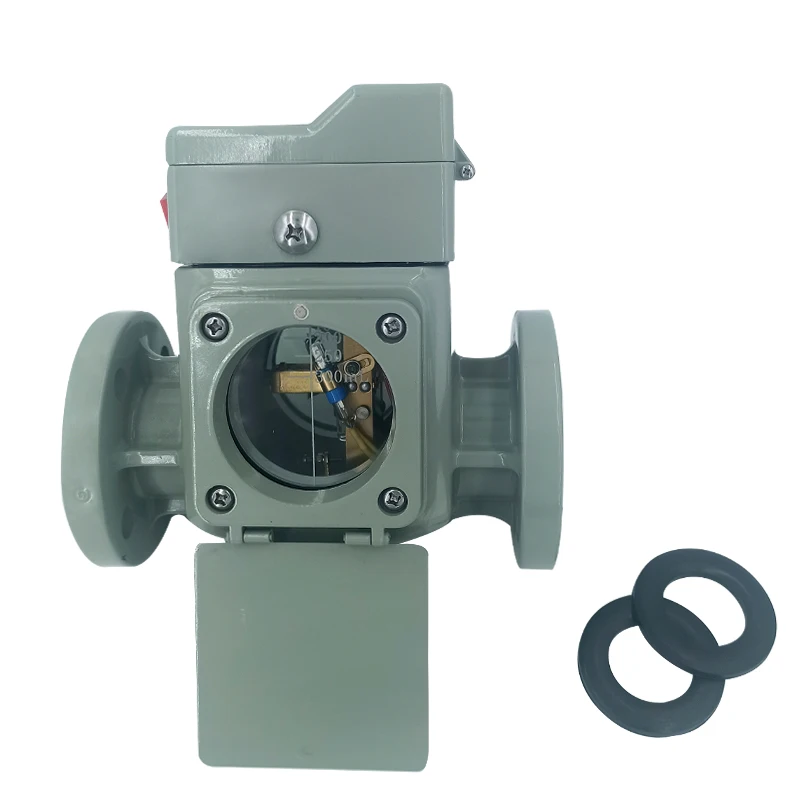 

QJ4G-25 DN25 Buchholz Relay For Oil Immersed Transformer Accessories
