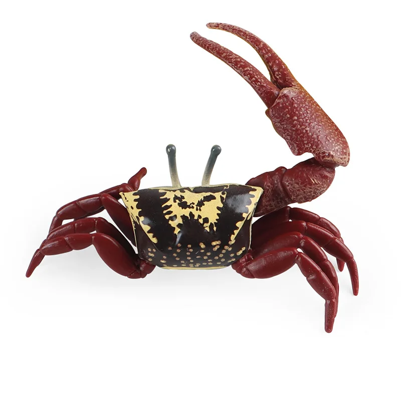 

Cross border children's simulation crab solid ocean fiddler crab bread crab spider crab hermit crab lobster model toy