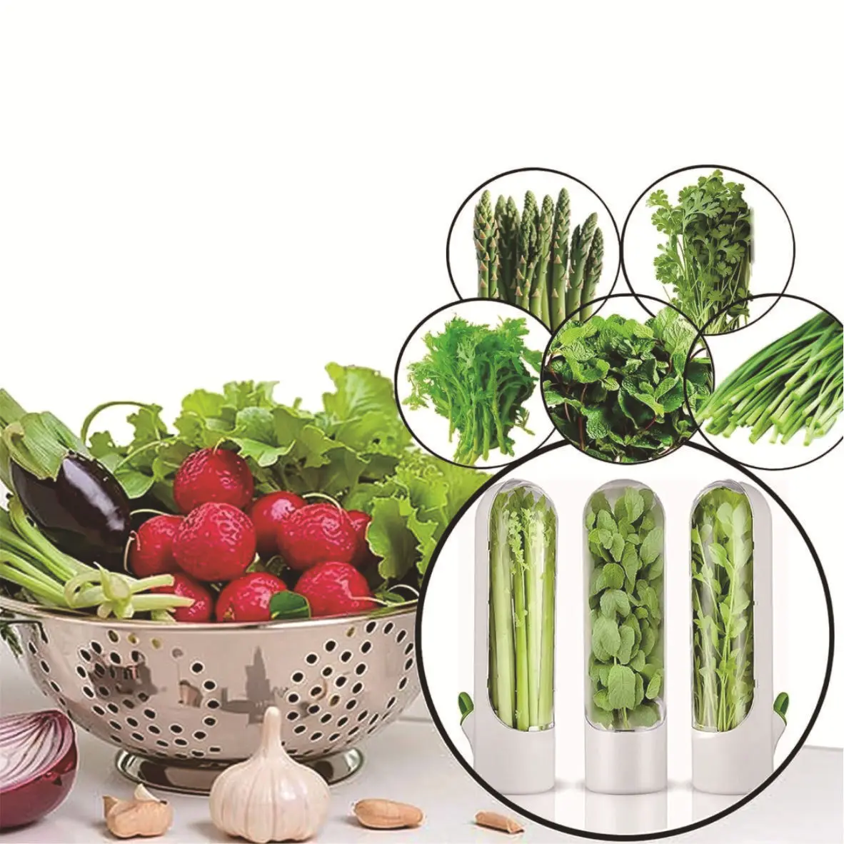 New Herb Storage Container for Refrigerator,Vegetable Preserver Cup, Helps Keep Mint, Cilantro and Parsley Fresh for Longer Time