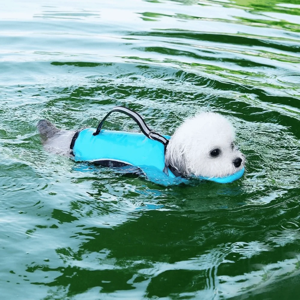 

Pet Supplies Adjustable Pet Swimming Jacket High Flotation Breathable Dog Swimming Vest Reflective Dog Life Jacket Drifting