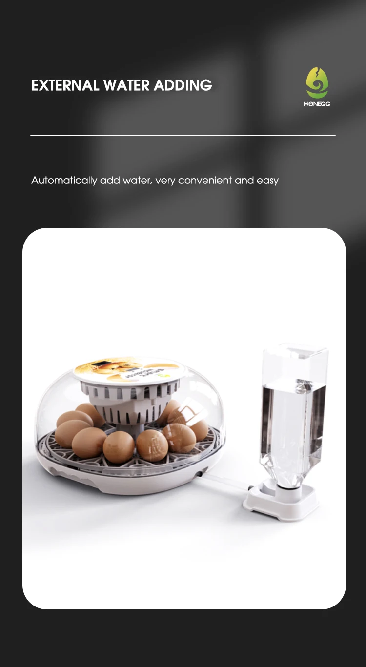 Household Small Chicken, Duck, Goose Egg Incubator Automatically Add Water Intelligent Temperature Control 12 Incubators