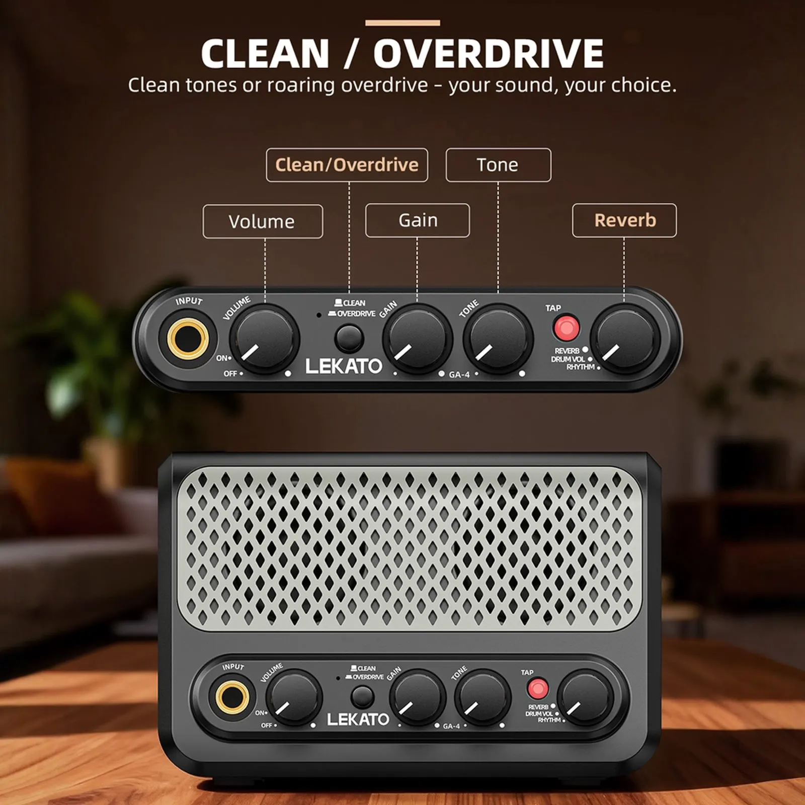 �y�Z�[�����zLekato Ga-4 10W �|�[�^�u���G���L�M�^�[�A���v �N���[�����I�[�o�[�h���C�u�`�����l�� ���o�[�u Bluetooth �~�j���^�M�^�[�A���v