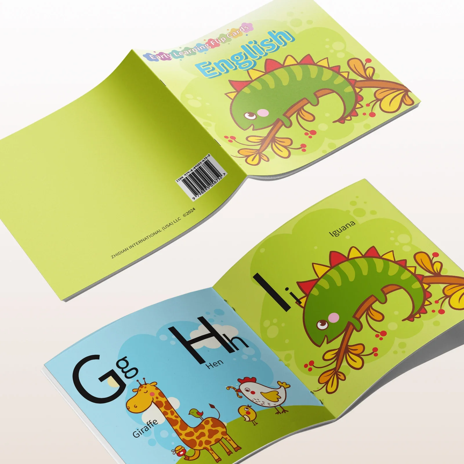 Card Books - Lively Knowledge Card Books for Early Learning, Educational Cards