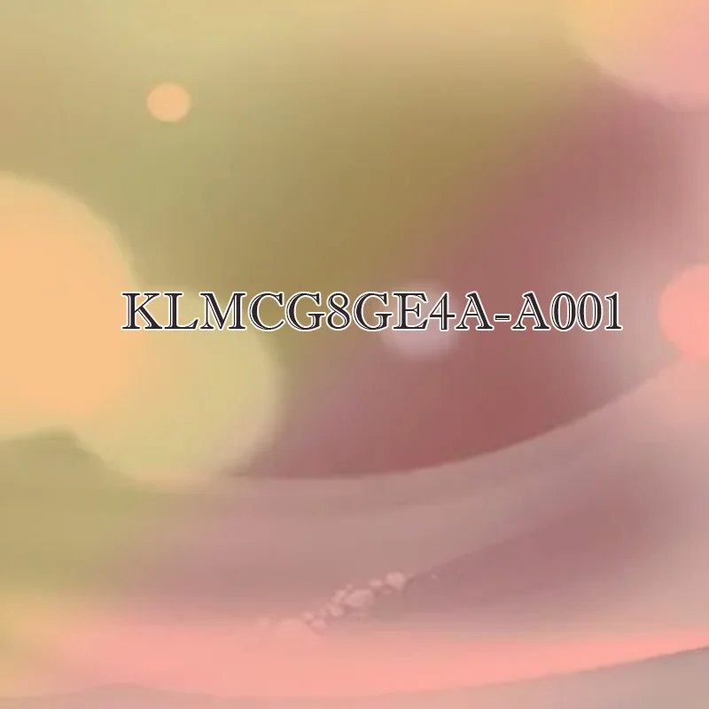 

KLMCG8GE4A-A001 Hard Shell