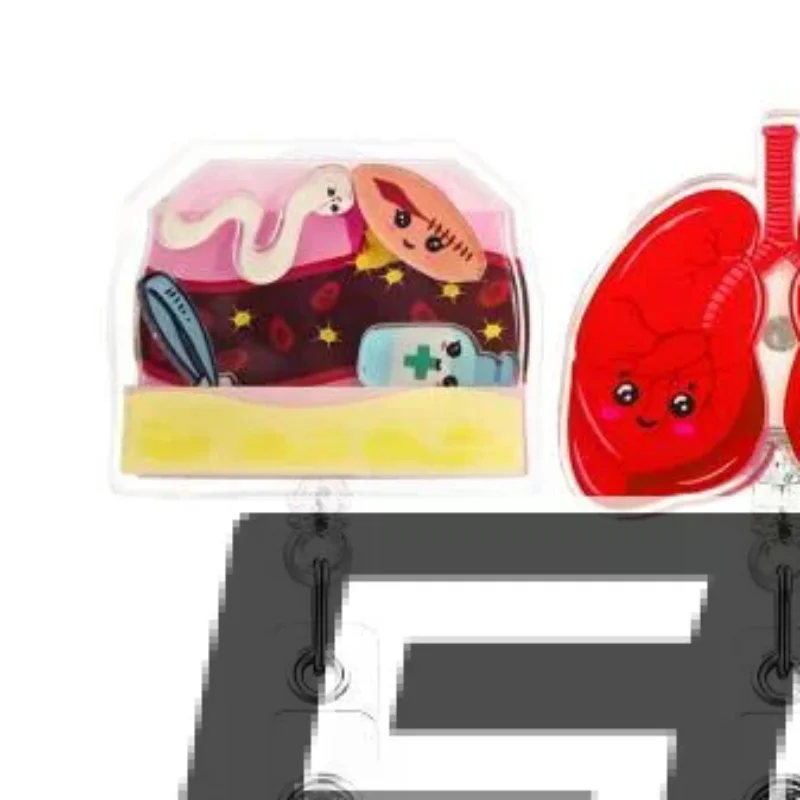 1Pcs New Design 1 Piece Shaker Acrylic Retractable Nurse Badge Reel Anime Heart Lung Teeth Doctor Name Tag ID Card Holder Clip