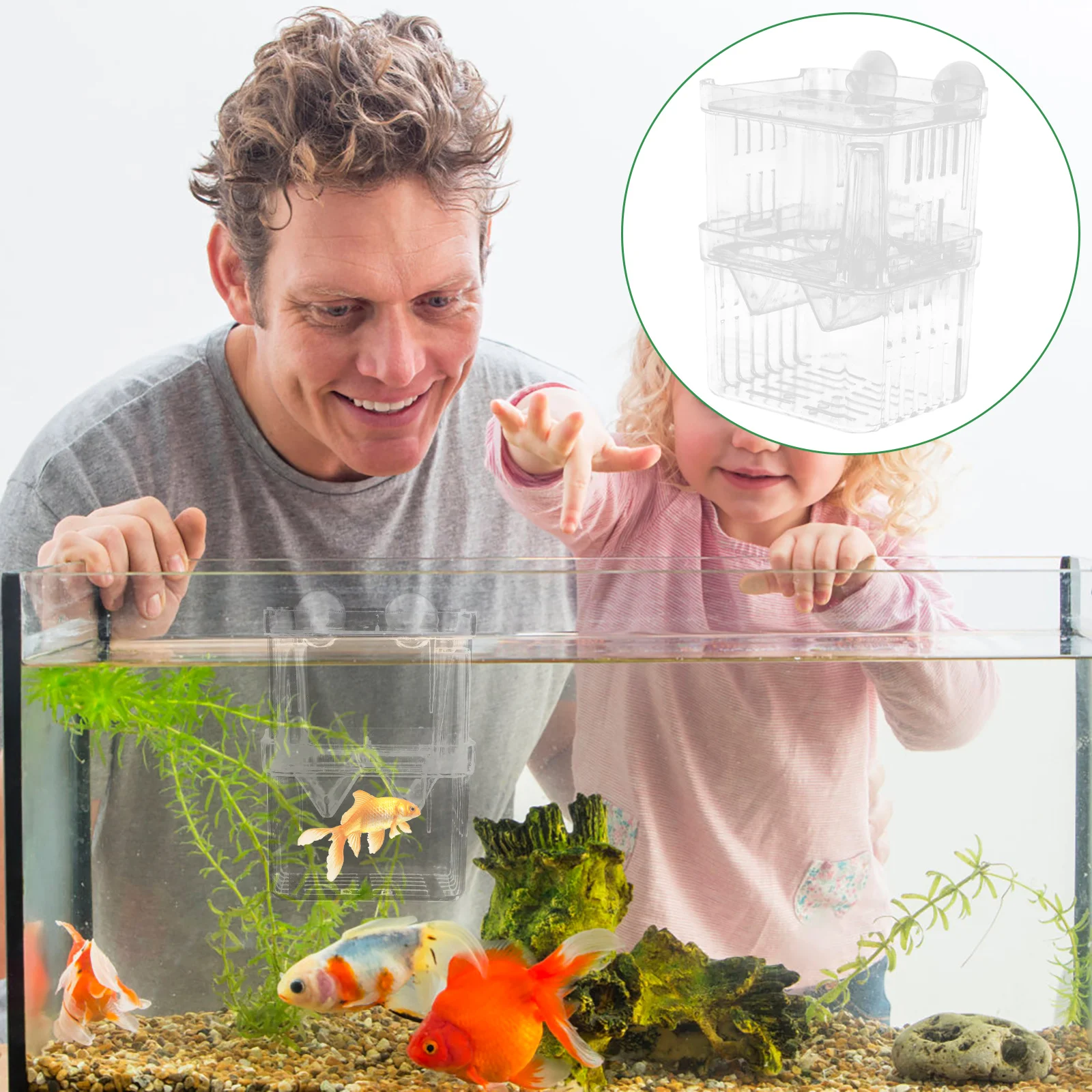 Aquarium Fish Box Fish Breeding Isolation Box Hatchery Incubator(Small) fish breeding box fish breeding tank