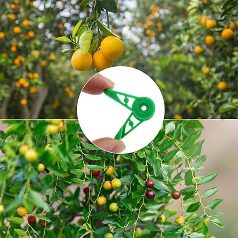 20PCS Plant Clips 360° Adjustable Plant Branch Bending Training Clips Plant Bending Clips Planter Holder Garden Stem Trainer Cli