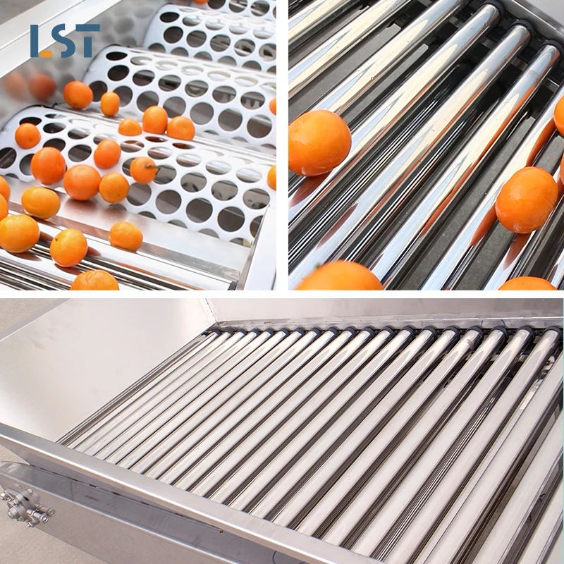 Automatic Fruit Vegetable Grading Machine Nut Sorter For Mango Date Cherry Garlic Processing Plant Vegetable Fruit Processor