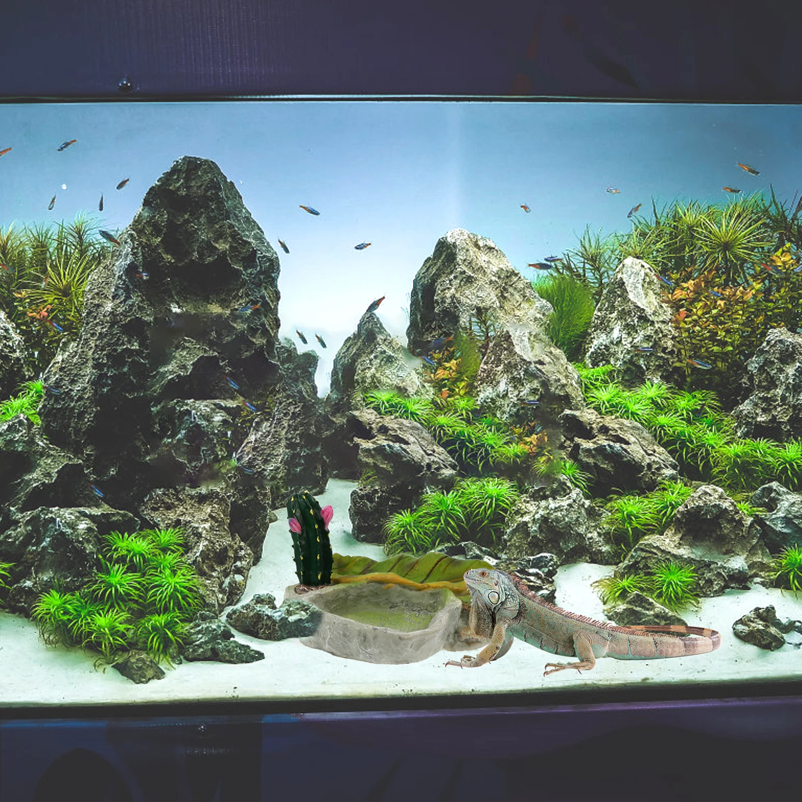 

Creative Reptile Food Water Dish Durable Practical Easy Install Sturdy Stand Aquarium Surface Natural Scenery Turtle Basin