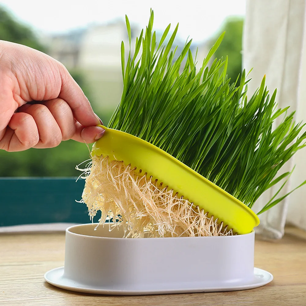 Pet Cat Sprout Dish Growing Pot Hydroponic Plant Cat Grass Germination Digestion Starter Dish Greenhouse Soilless Plant Grow Box