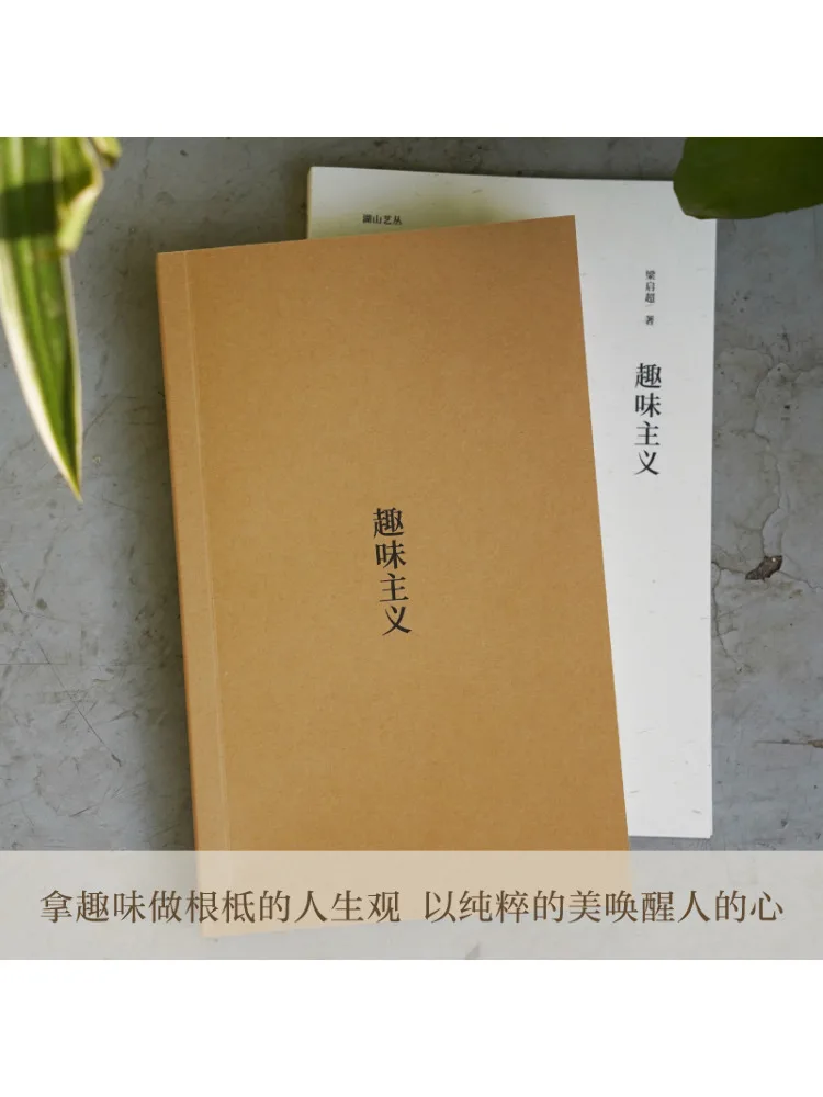 Stile giocoso del libro-Winshare