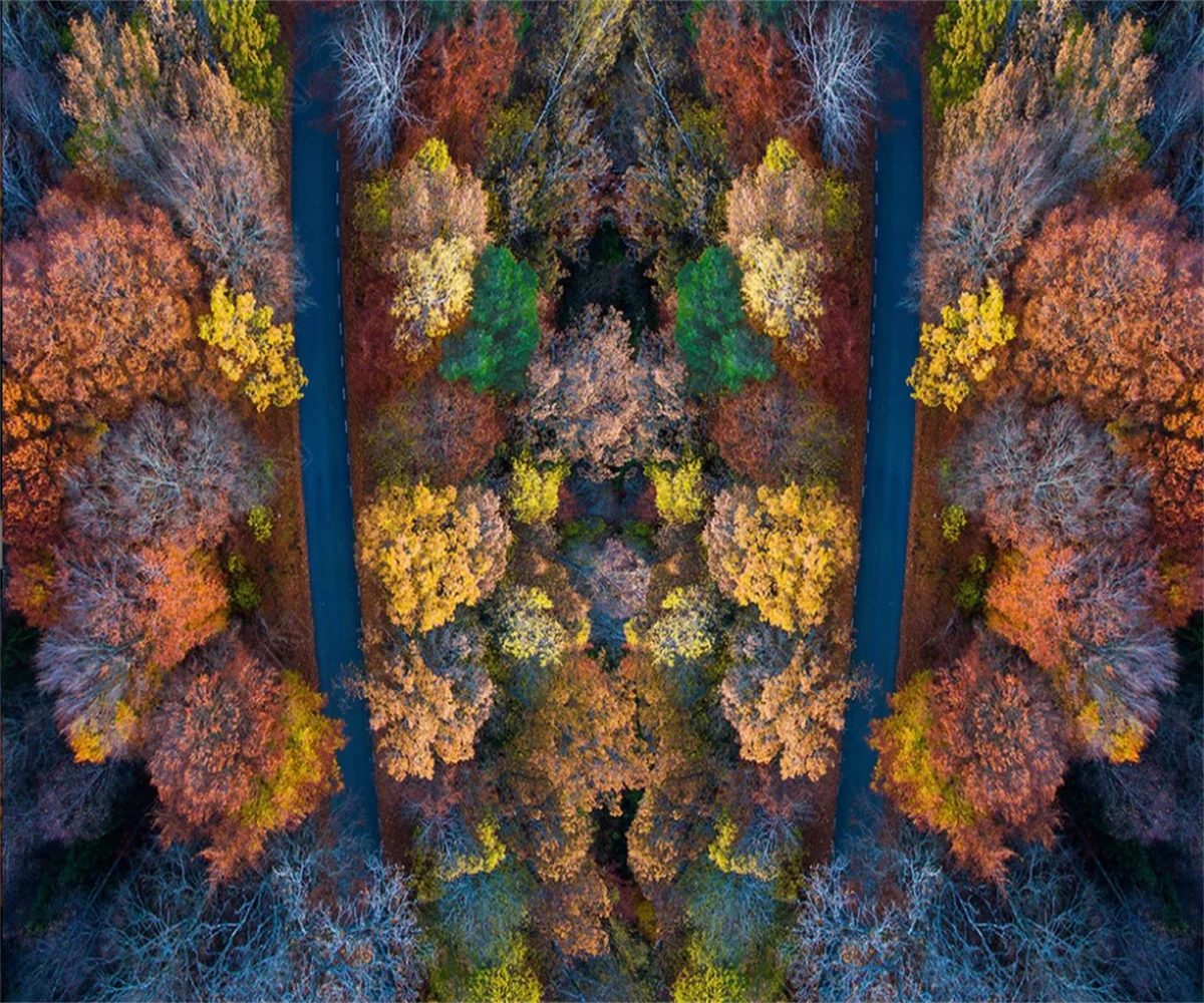 

Обои на заказ, настенная роспись, лес, шоссе, спальня, гостиная, кофейня, обои, наклейка, арт-деко