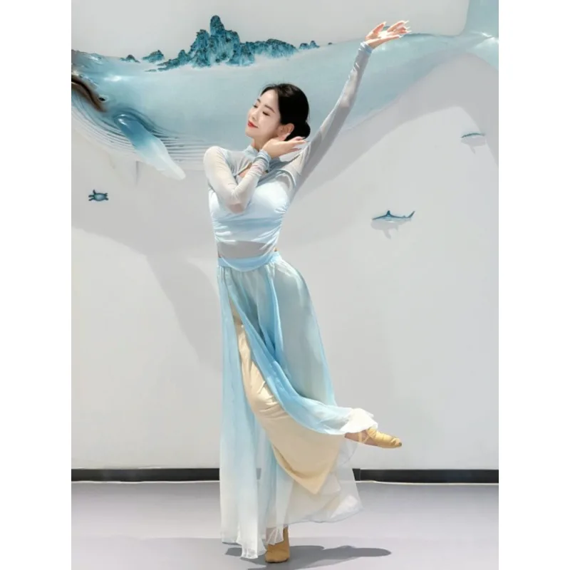 Classical Dance Stand Collar Stretch Gauze Blue Dance Practice Costume Ethnic Pants Skirt Flowing Women's Performance Costume