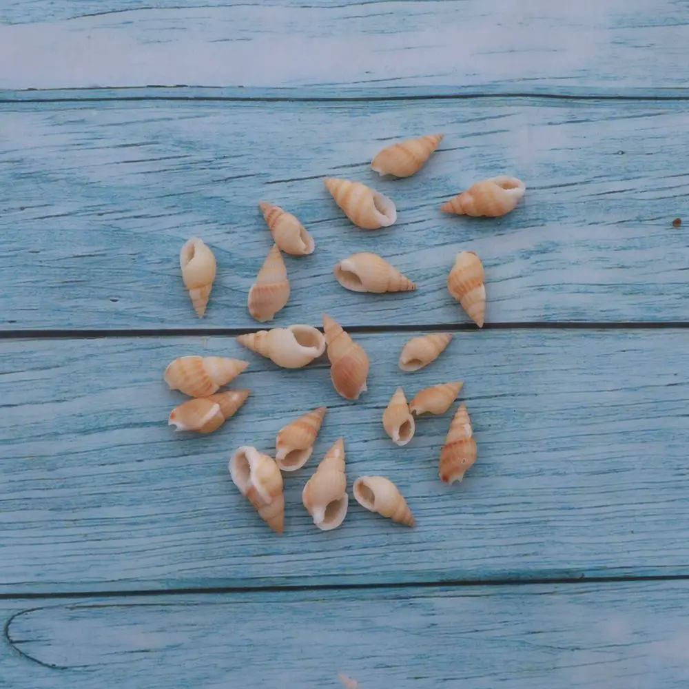 Natural Sea Shells Conchs Bulk Assorted Mix For Aquarium Decoration Fish Tank Landscaping Crafting Ornament Supplies
