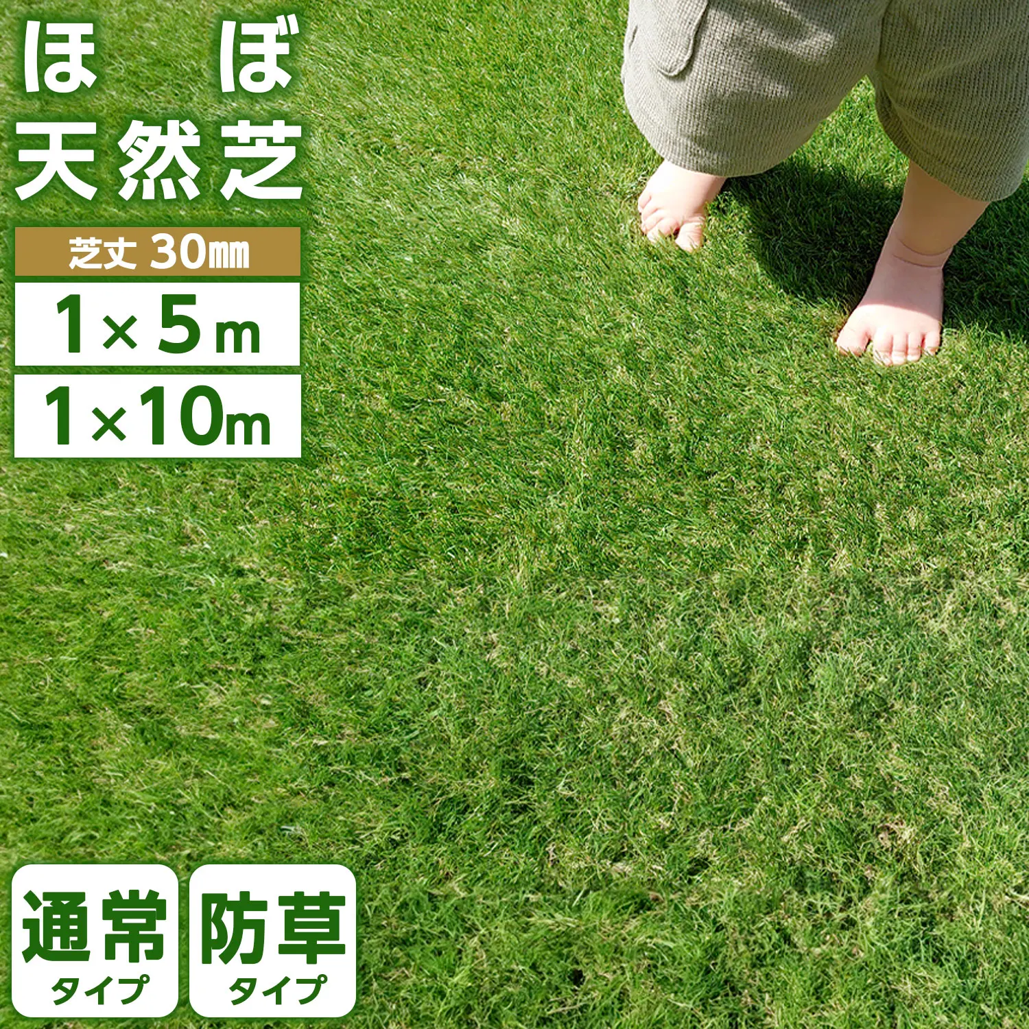 yZ[zEx_pxlHŃ[ hEUVJbg@\tōϋv TCY1m×10m/5mA35{/u̍xŎŏ30mm̃AȎU