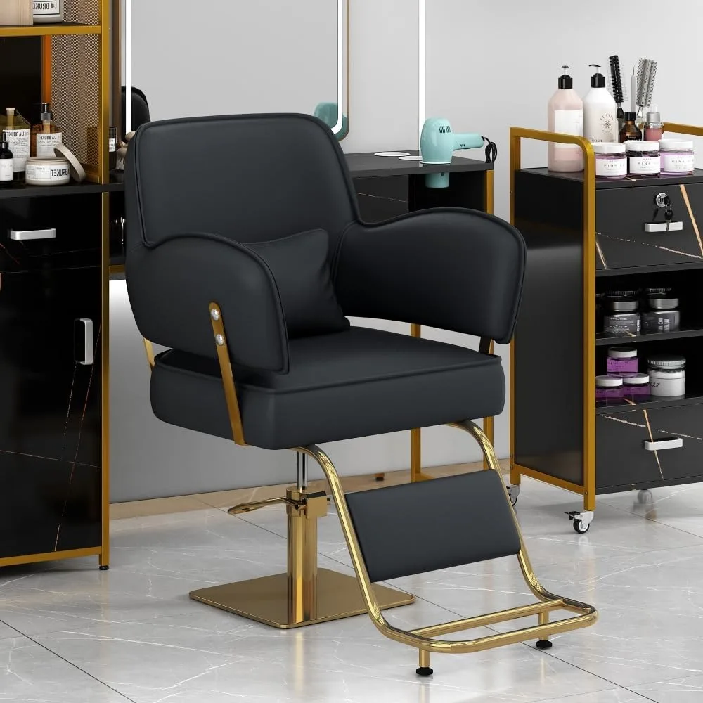 Salon Chair for Hair Stylis,with Heavy Duty Hydraulic Pump Adjustable Barber Chair for Beauty Salon Spa Equipment