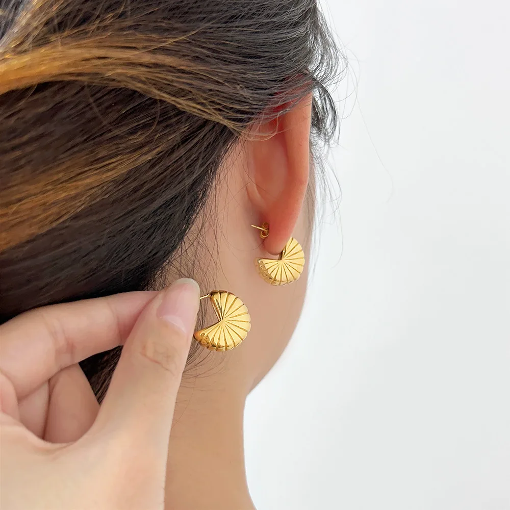 DIY accessories European and American niche design geometric C-shaped earrings, stainless steel women's ins Internet celebrity f