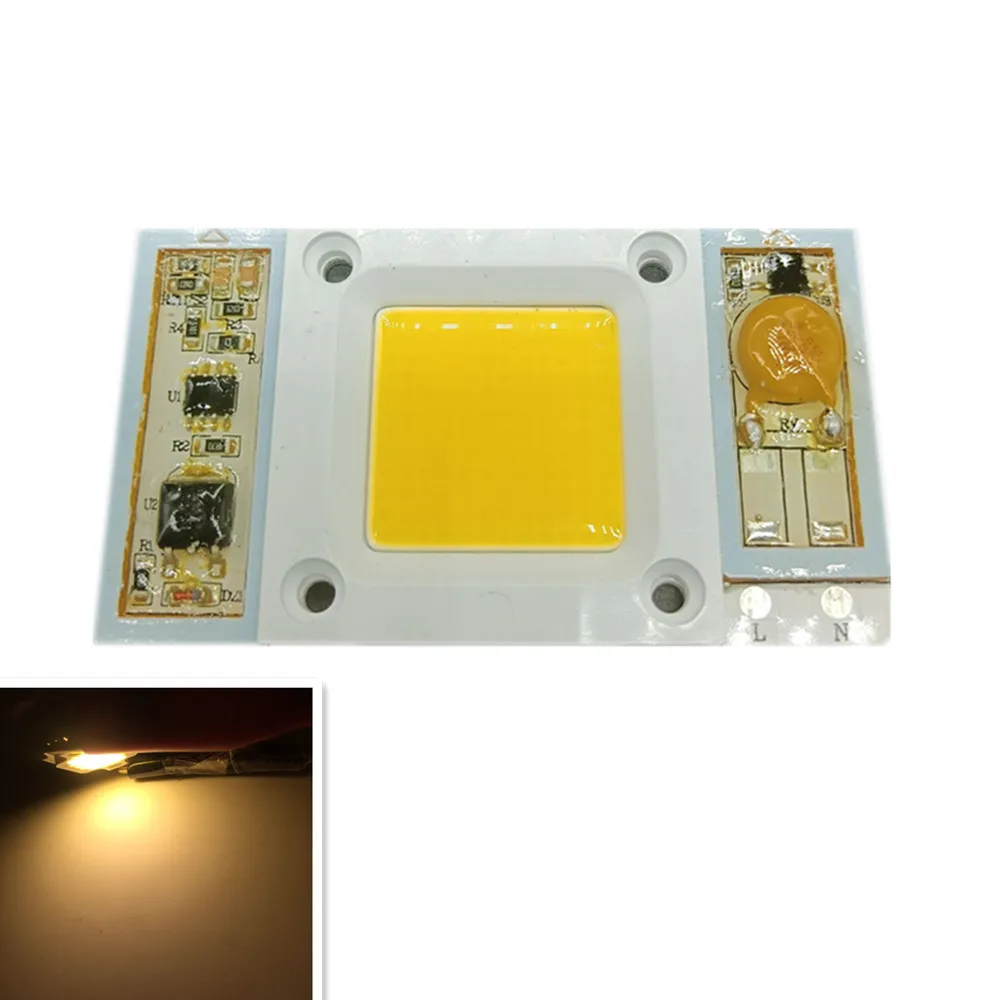 50W 30W 110V 220V COB High Power Led Chip Built-in Driver White Warm White Cool White LED