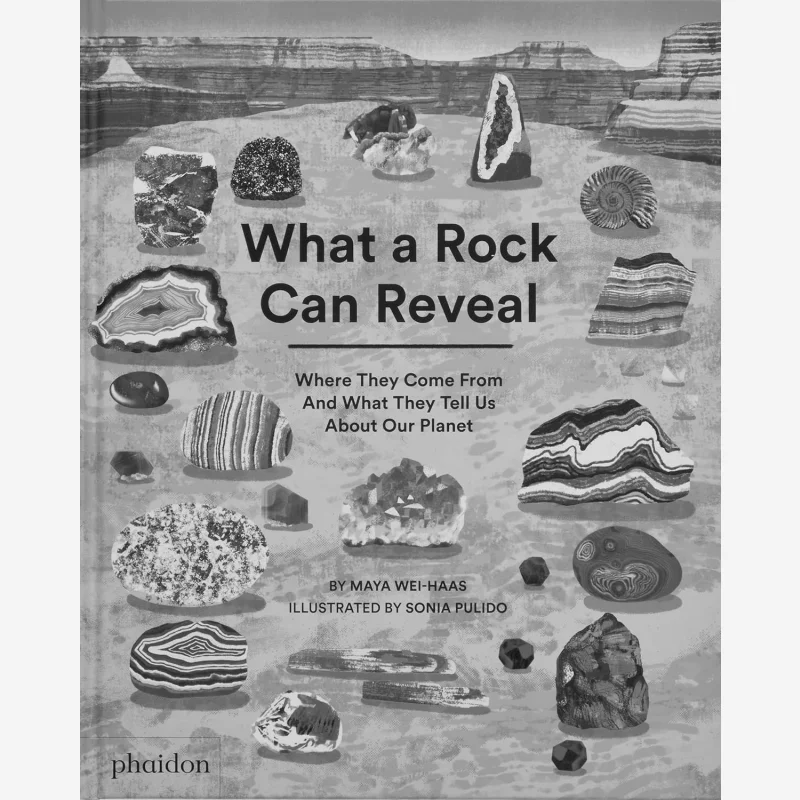 

What A Rock Can Reveal Weihaas Maya Phaidon Press 9781838667894 Book