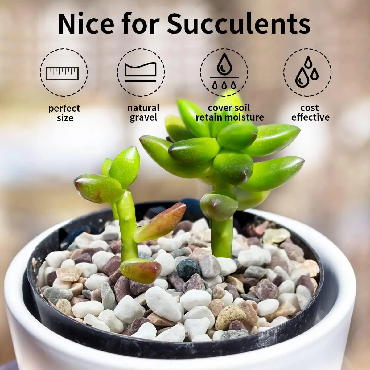 Mixed Color Gravel Stones Decorative Pebbles for Aquarium Fish Tank Succulent Plants Bonsai Garden Pot DIY Landscaping Decor - view 3