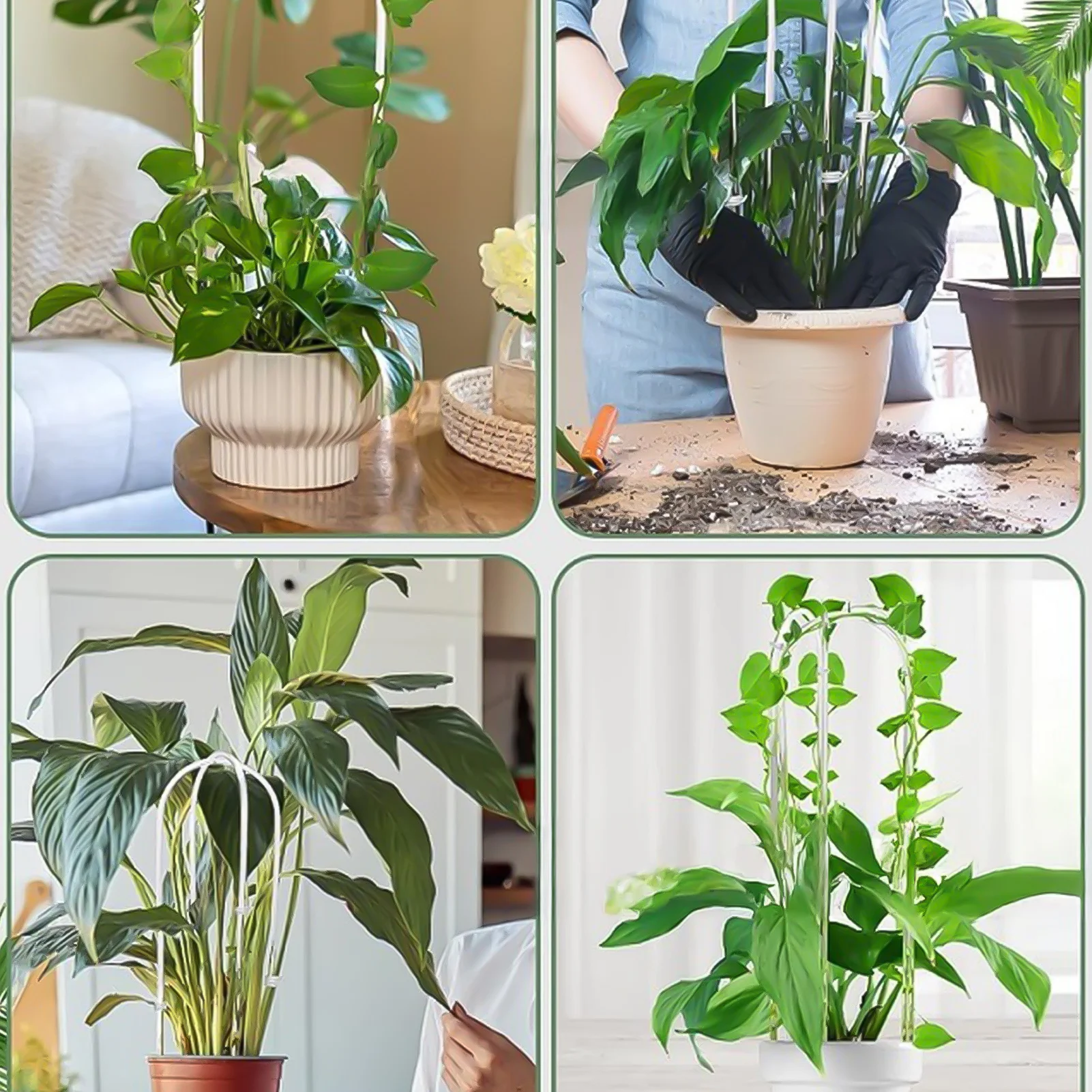 Clear Potted Bracket Acrylic U-shaped Plant Climbing Rack Creative Support Flower Arrange Garden Plants Support Pile Decoration