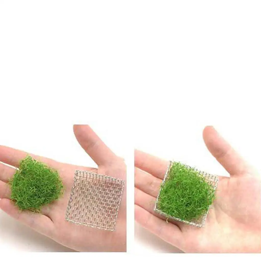 Aquarium Stainless Mesh Aquatic Plant Holder Moss Carpet Floor Mesh Decorative Landscape Ornament for Acrylic Aquarium Fish Tank