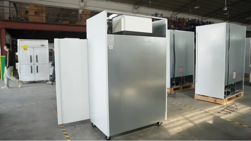 Energy Saving Design GN2/1 Double Glass Doors Upright Freezer Display Commercial Refrigeration