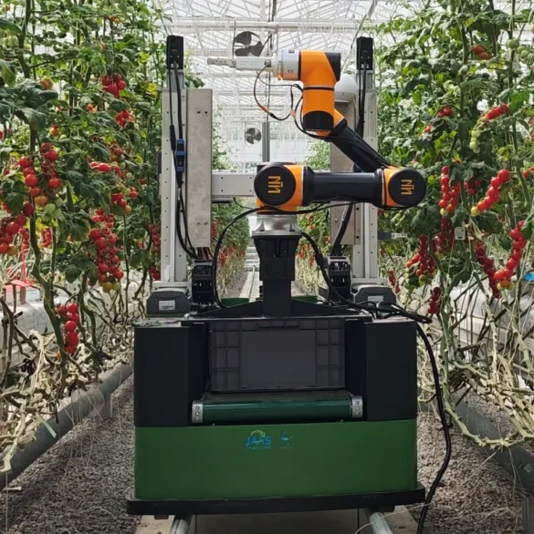 Best Facility Tomato Harvesting Robot Collaborative Robot for Aggriculture Harvesting