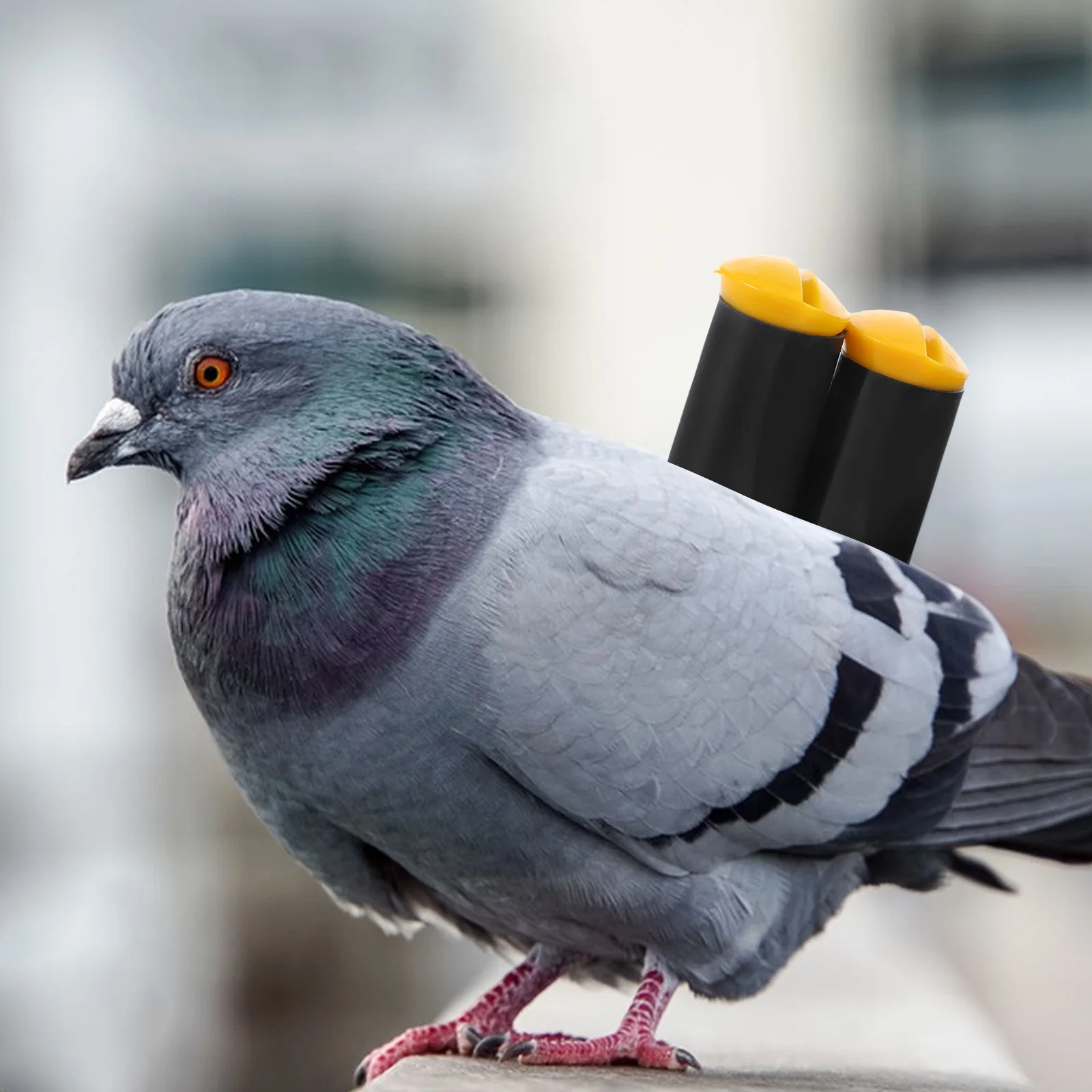 

Pigeon Whistle Plastic Tail Flight Callers Lightweight Tracking Supplies Accessories Bird Cage Dove Training Pet Supplies