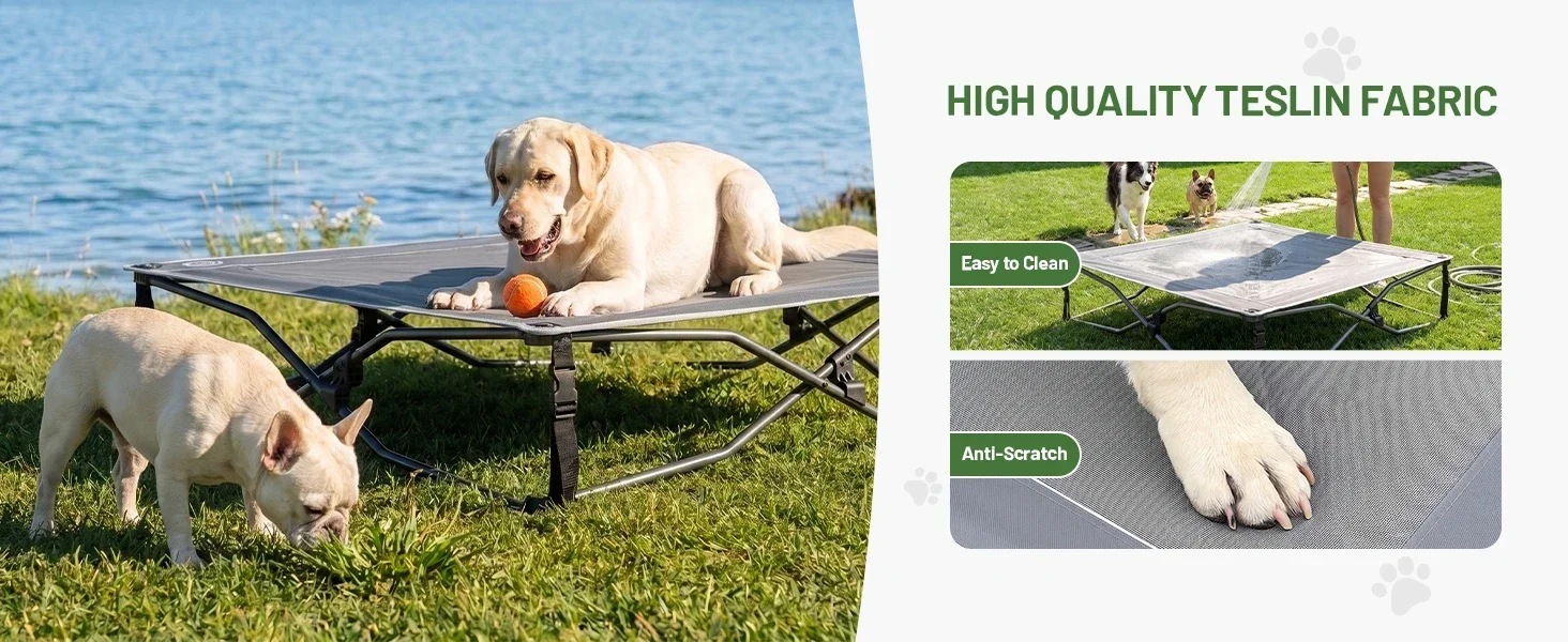 dog bed