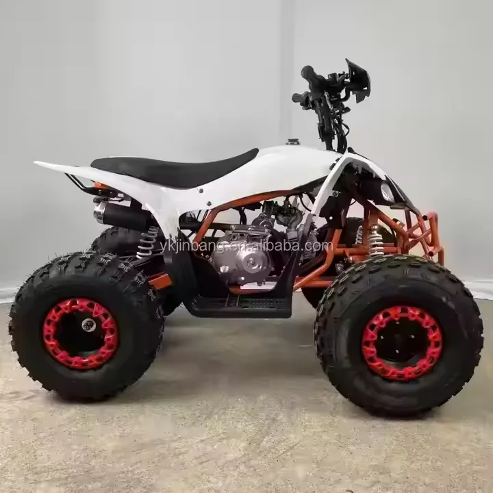 125cc 4-Stroke 1-Cylinder Air-Cooled ATV with Automatic Chain Drive Transmission